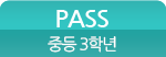 pass 버튼